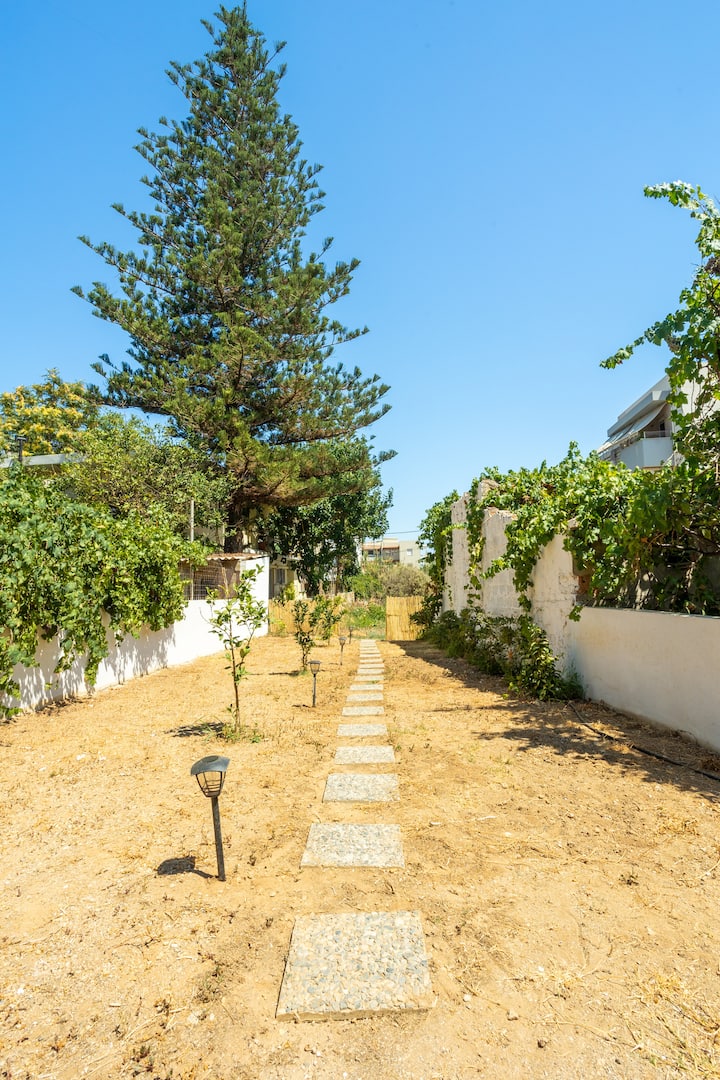 Πίσω αυλή εικόνα 1