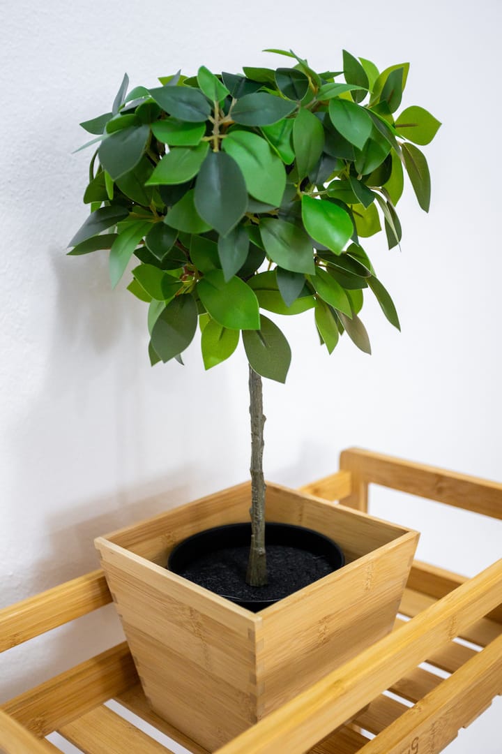 Πλήρης κουζίνα εικόνα 6